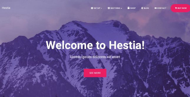 Hestia WordPress Theme Review | Best Elementor Themes (By Webnus)