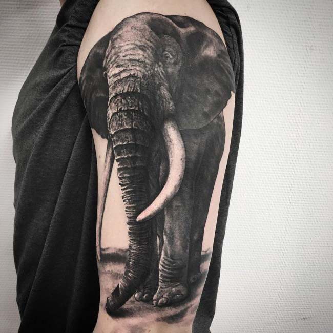 arm tattoo portrait of elephant