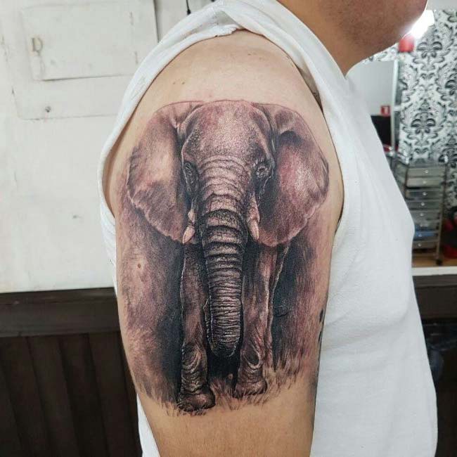 realistic elephant tattoo on shoulder