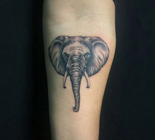 elephant head tattoo