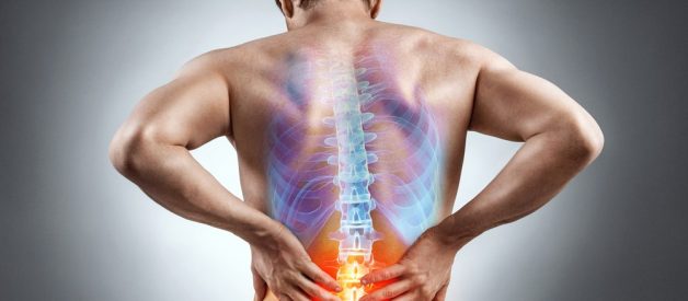 3 Causes Of Lower Back Pain On Left Side 911 WeKnow