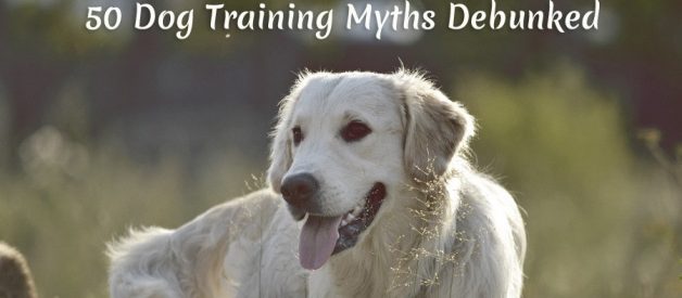 50 Dog Training Myths That Drive Me F’ing Insane