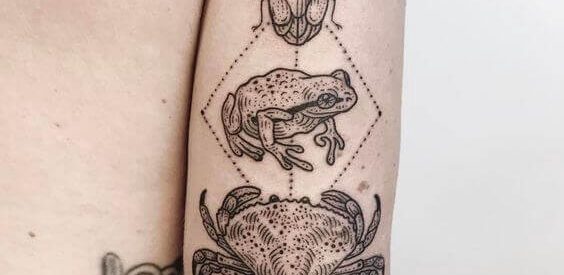 Animal Tattoos and their Meanings