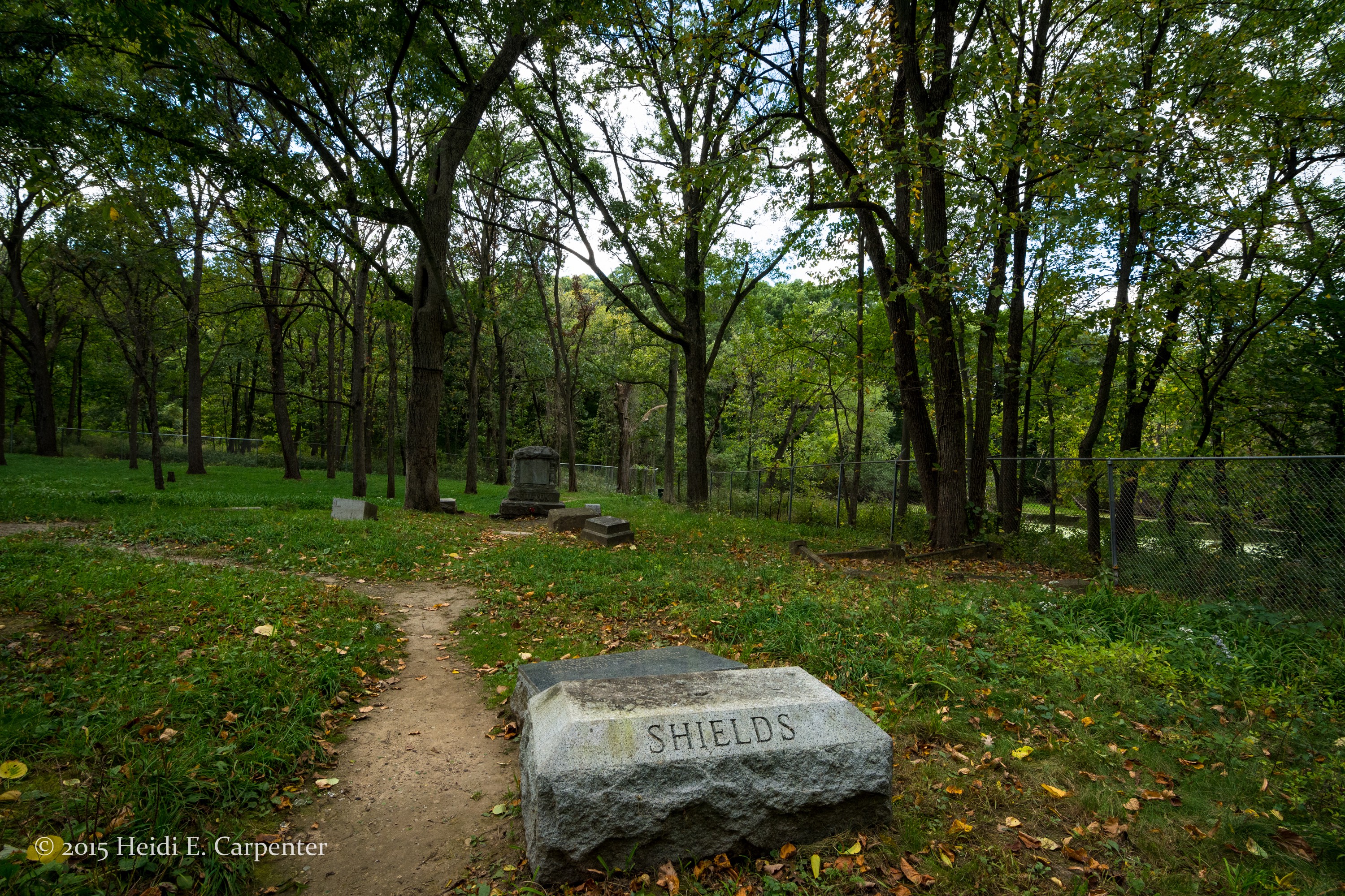Decades of curious visitors have worn paths around the toppled and missing headstones of Bachelor?s Grove Cemetery.