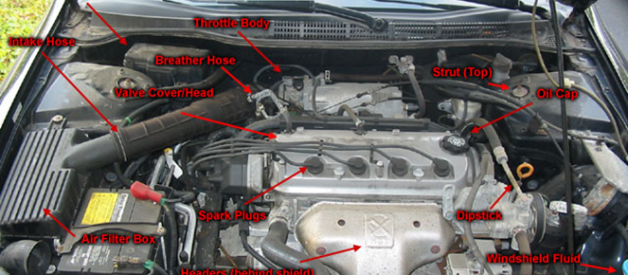 Beginner’s Guide To Body Parts under the Hood Of Your Car