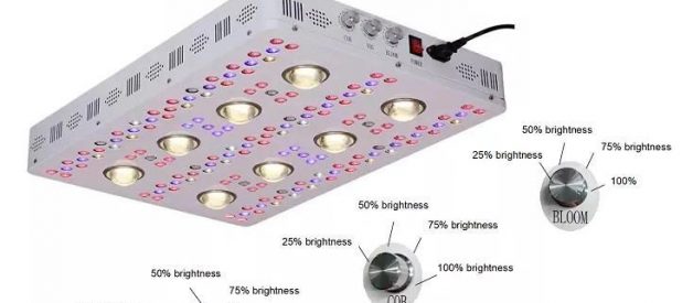 BEST 1000W COB LED GROW LIGHT FOR GROW ROOM REVIEW 2019