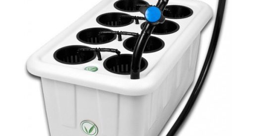 Best Hydroponic Drip System — Updated 2020