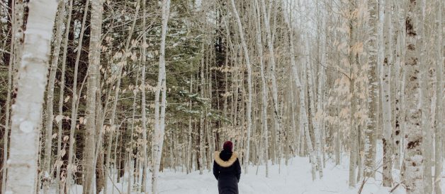 Birches by Robert Frost — Poem + Analysis
