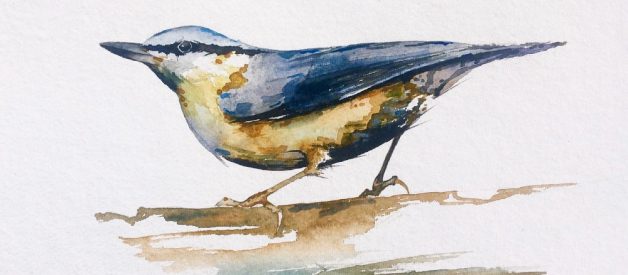 Bird Watercolor Painting Tutorial