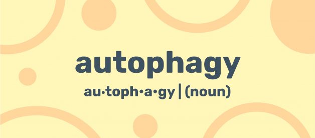 Fast Your Way to Autophagy
