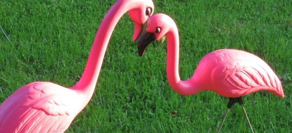 How Did Plastic Pink Flamingos End Up in Front Yards?