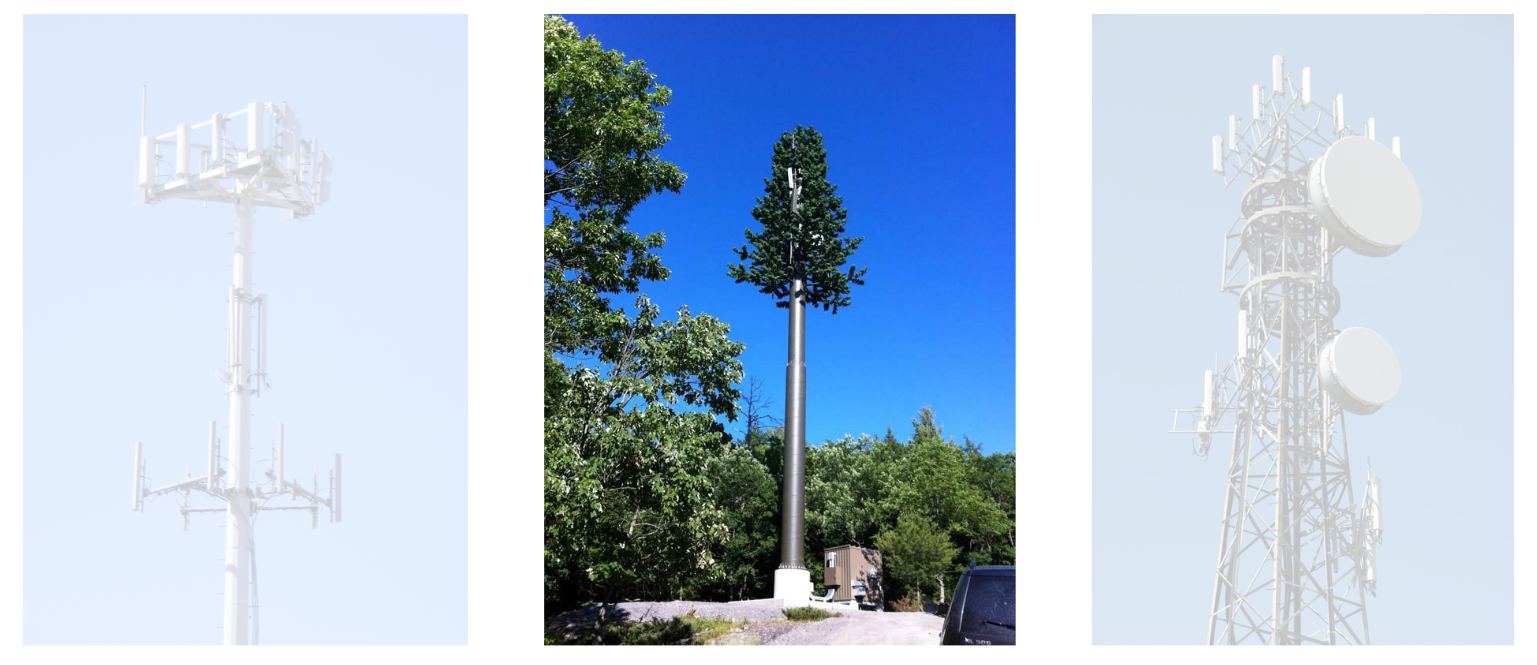 Macro cell site disguised as a tree