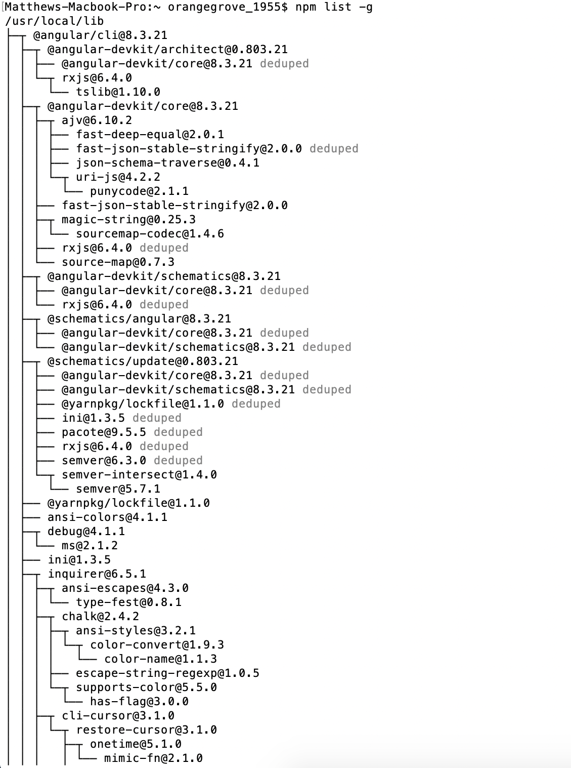 Output of npm list -g command