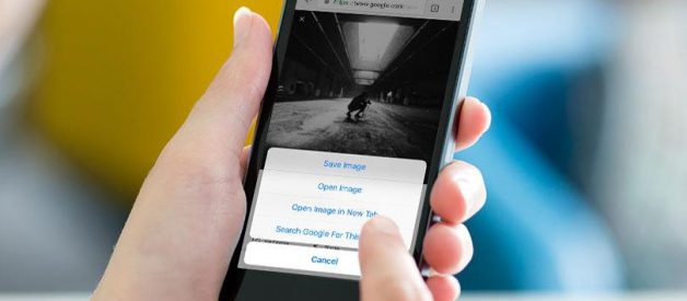 How to Do a Reverse Image Search From Your Phone