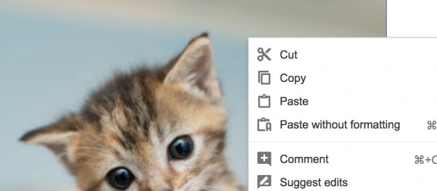 How to download images from Google Docs. The easy way.