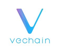 What is vechain?