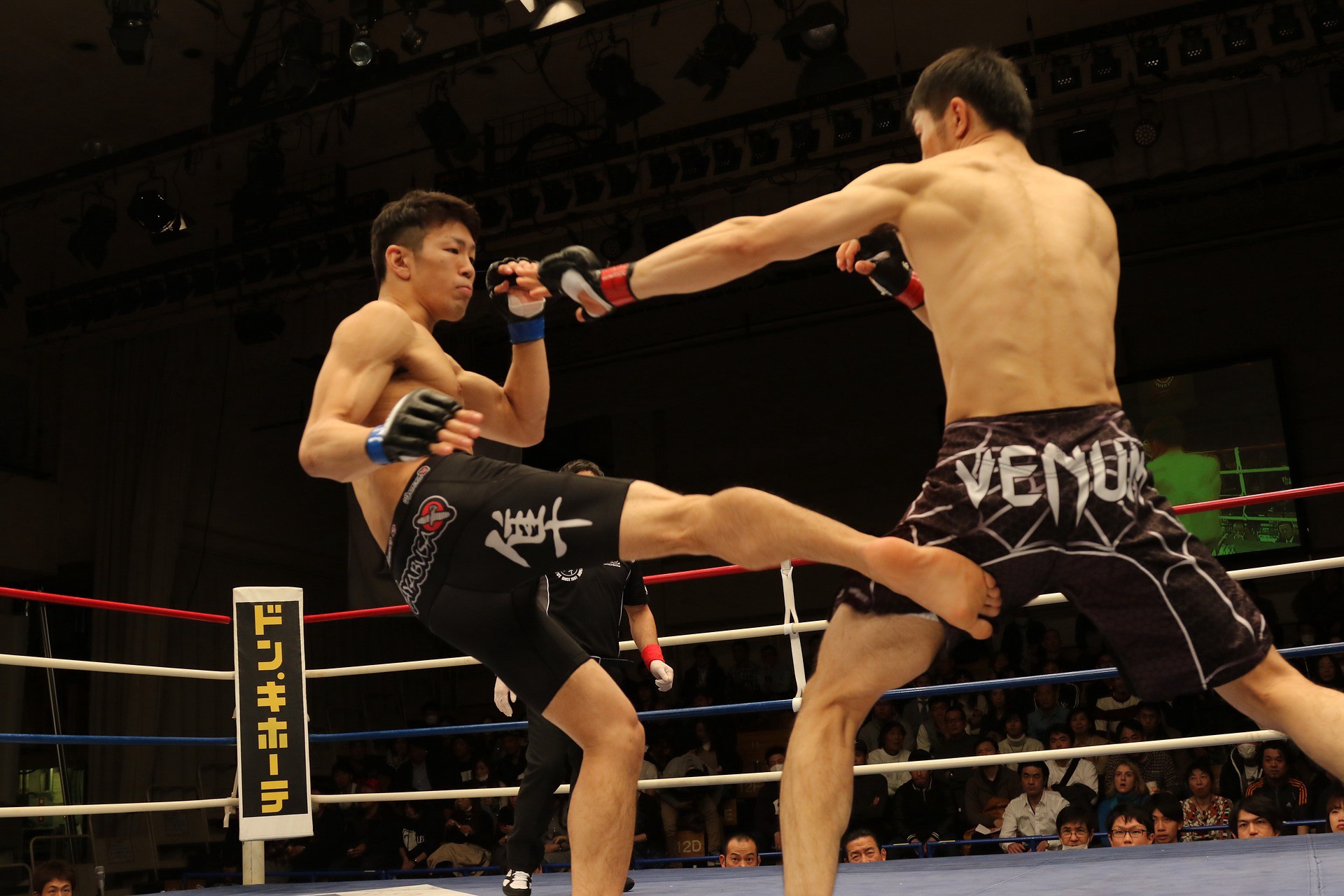 MMA fighter landing a leg kick on his opponent