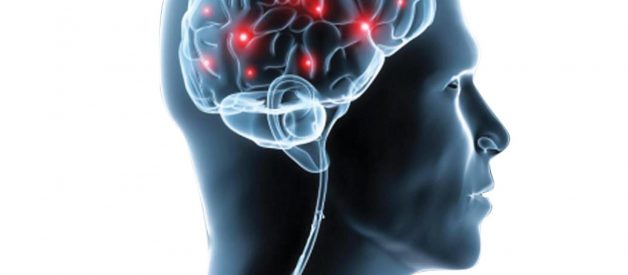 Neuro4Kidz | Neuroscience vs Neurobiology vs Neurology