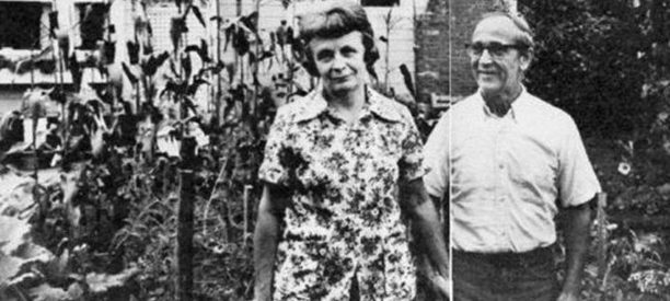 Ted Bundy’s Victims: Lynda Ann Healy