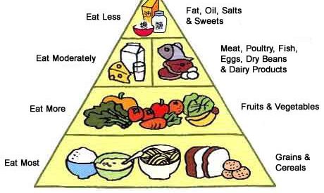 That Whole Food Pyramid Thing? Yea That’s A Lie