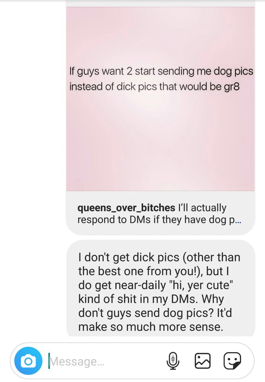 Screenshot of meme: ?If guys want to start sending me dog pics instead of dick pics that would be gr8?