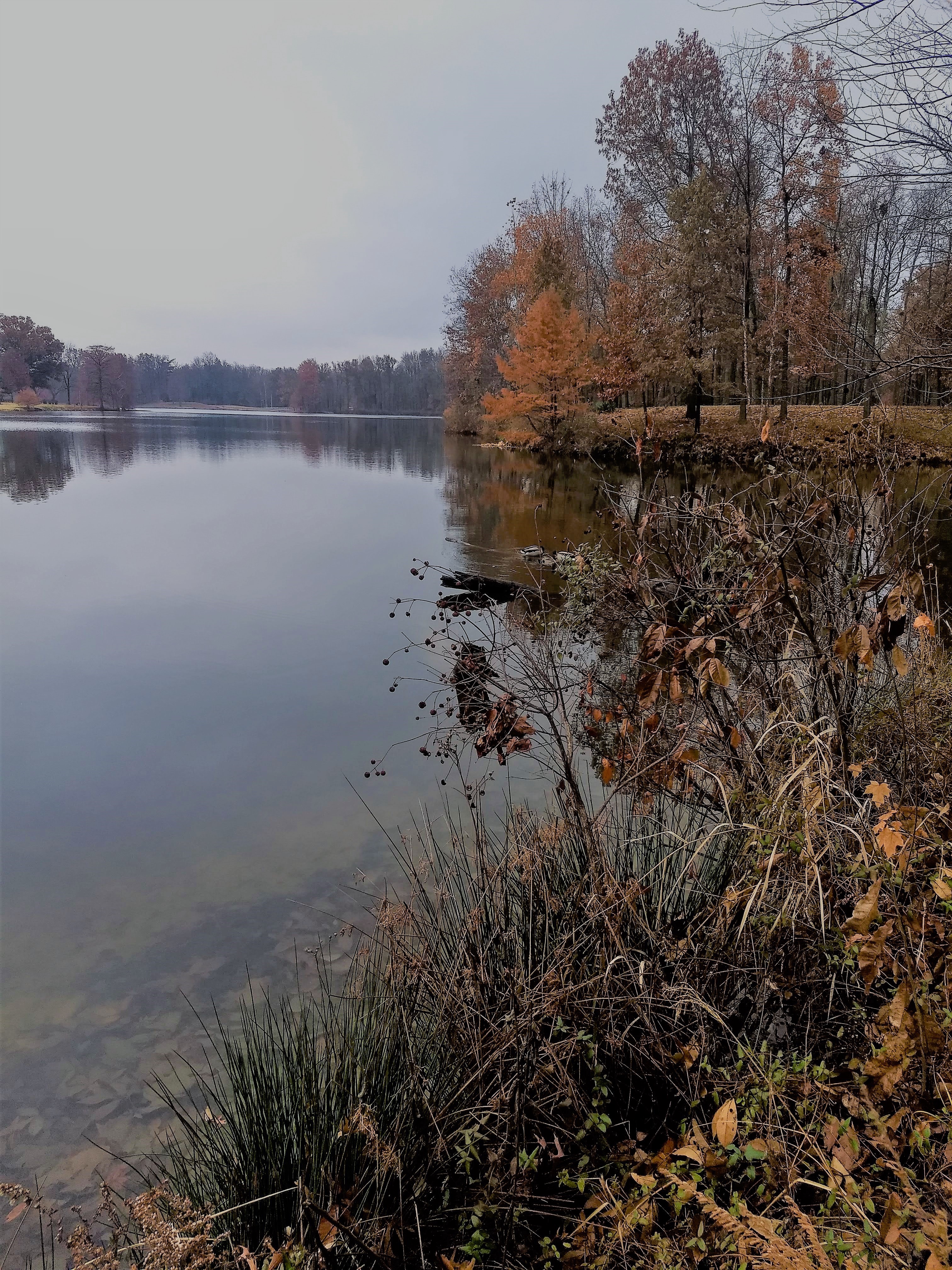 Photo of lake edited using Microsoft Photos for Windows