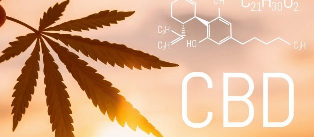 The History of CBD: A Brief Overview