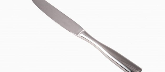 The Knife Hypothesis, a companion to Spoon Theory