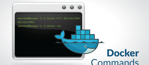 Top 15 Docker Commands You Should Know