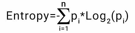 Expressing formula for the Entropy