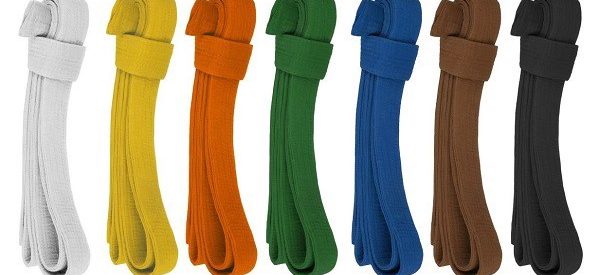 Understanding the Meaning of Karate Belts Colors