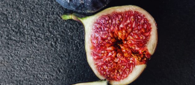 Was Jesus Hangry When He Cursed the Fig Tree?