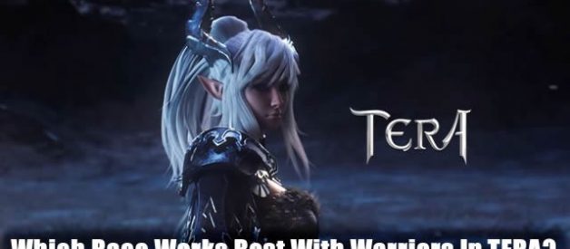 Which Race Works Best With Warriors In TERA?