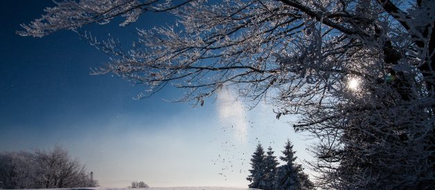 Winter in the Poetry of Robert Frost